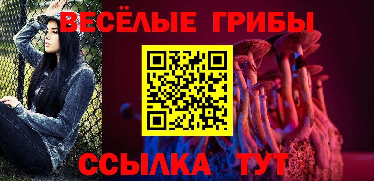 Аргун  Псилоцибиновые грибы прущие грибы  Вход с VPN 