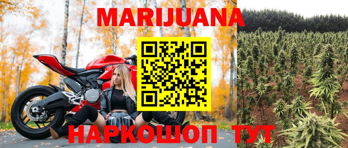Аргун  Конопля VHQ  Канабис марихуана  Бошки Шишки OG Kush  Вход с VPN 